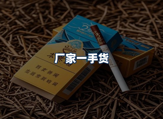 专业团队办公环境